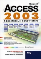 Microsoft Access 2003 Эффективный самоучитель артикул 5720b.